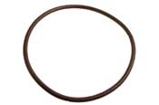 350013/350013Z Lid O-Ring Replaces - INTELLIFLO VSF/INTELLIFLO 2 VST/INTELLIFLO VS